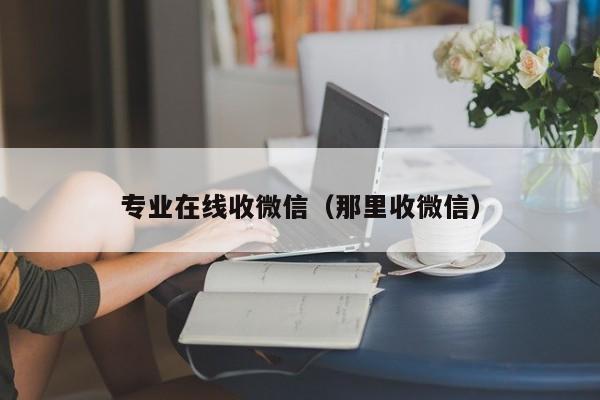 专业在线收微信（那里收微信）